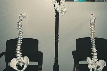 Photo from The Joint Chiropractic clinic - Florence