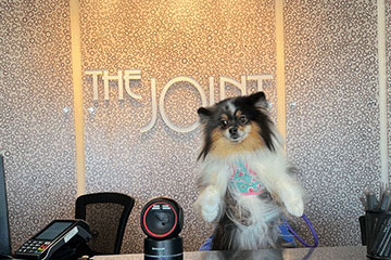 Brentwood MO Clinic interior image