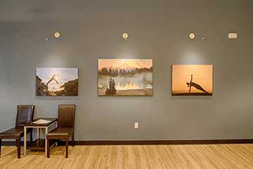The Joint Chiropractic Renton Adjustment Bay