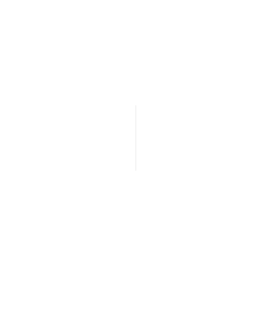 l2