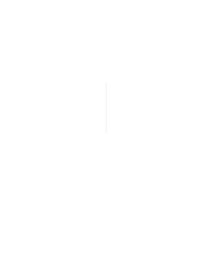 t1
