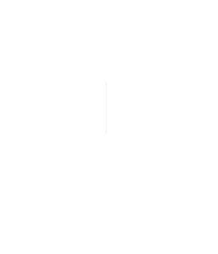 t2